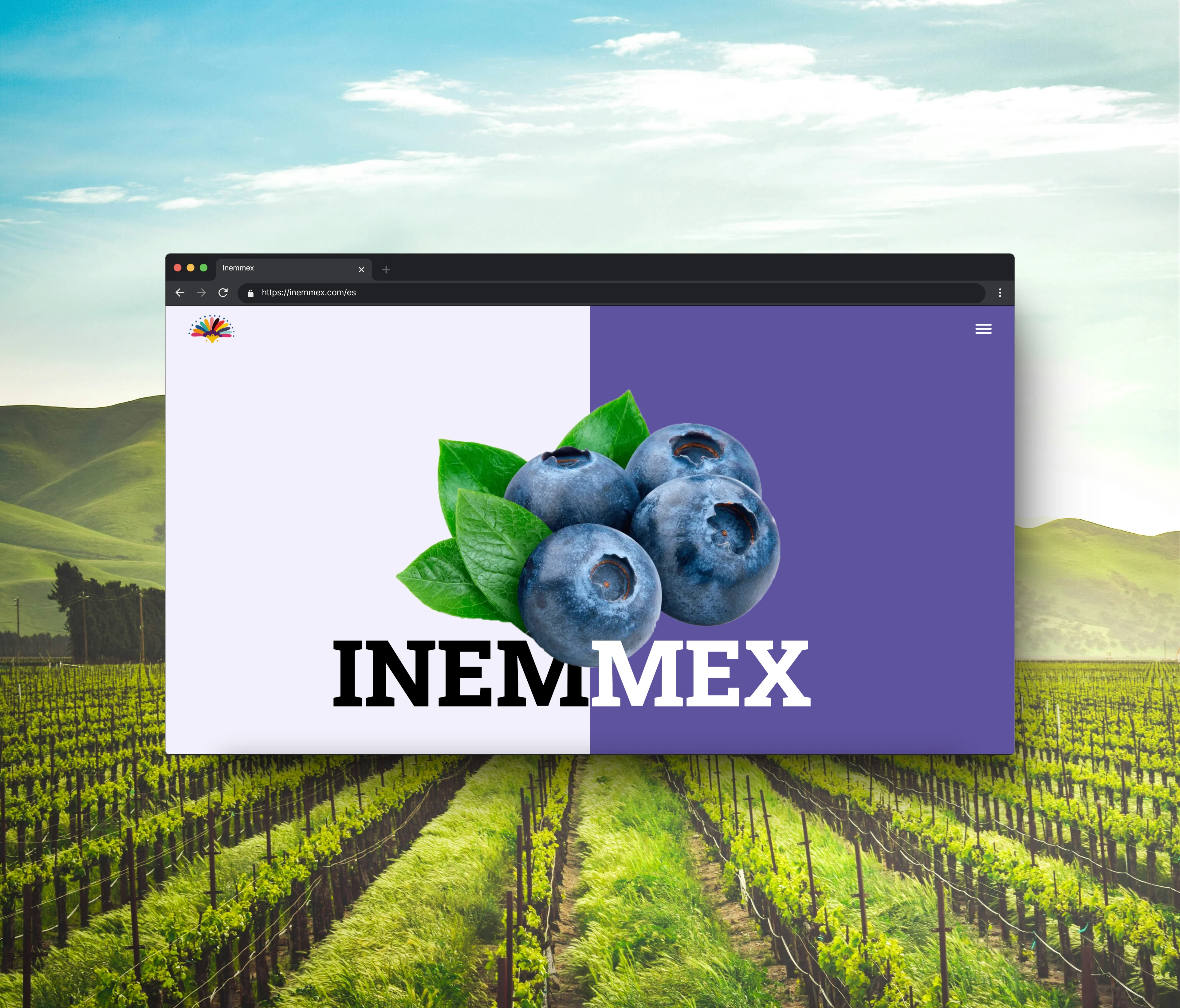 Inemmex